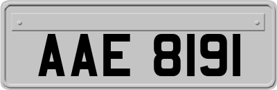 AAE8191