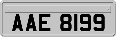 AAE8199