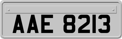 AAE8213