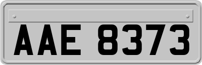 AAE8373