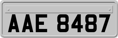 AAE8487