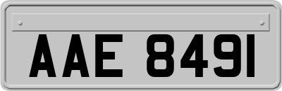 AAE8491