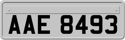 AAE8493