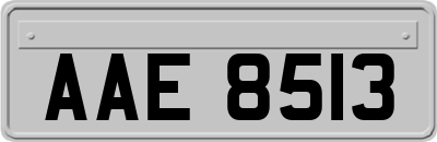 AAE8513