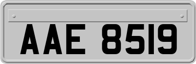 AAE8519