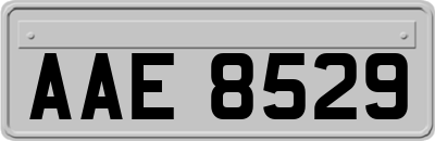 AAE8529