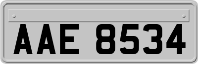 AAE8534