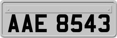 AAE8543