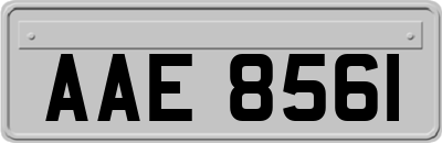 AAE8561