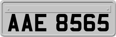 AAE8565