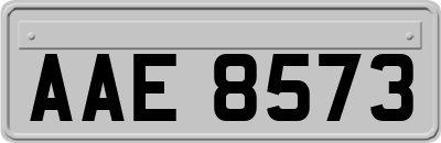 AAE8573