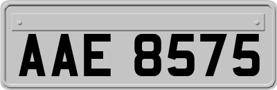 AAE8575