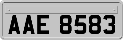 AAE8583