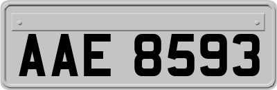 AAE8593