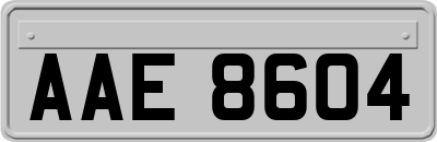 AAE8604