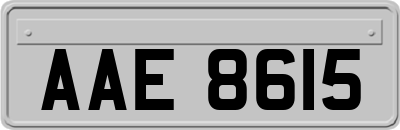 AAE8615