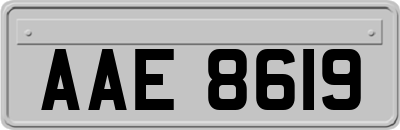 AAE8619