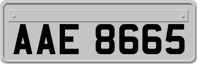 AAE8665