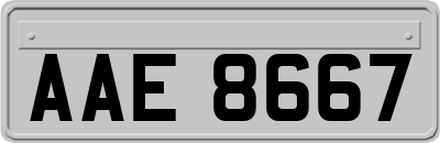 AAE8667