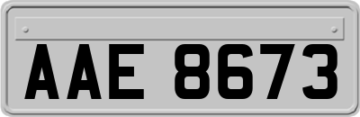 AAE8673