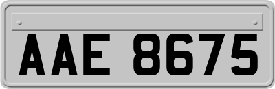 AAE8675