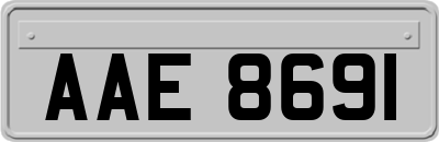 AAE8691