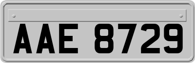 AAE8729