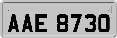 AAE8730