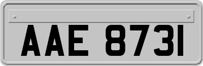 AAE8731