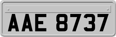 AAE8737