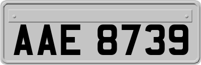 AAE8739