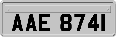 AAE8741