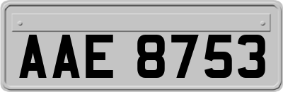 AAE8753