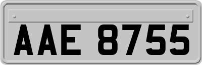 AAE8755