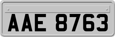 AAE8763