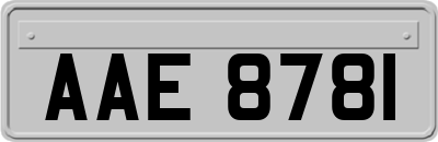 AAE8781