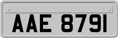 AAE8791