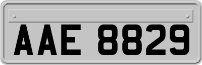 AAE8829