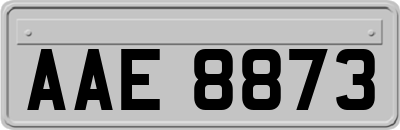 AAE8873