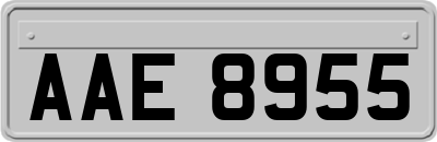 AAE8955