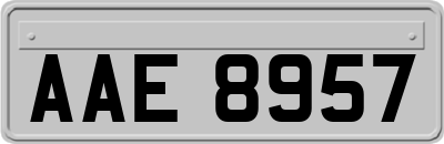 AAE8957