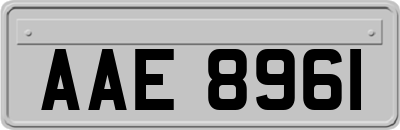 AAE8961