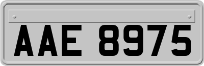 AAE8975