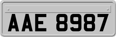 AAE8987