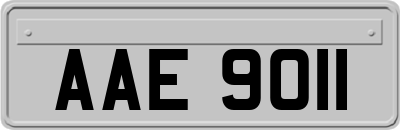 AAE9011