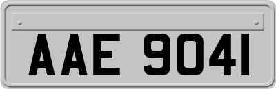 AAE9041