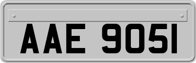 AAE9051