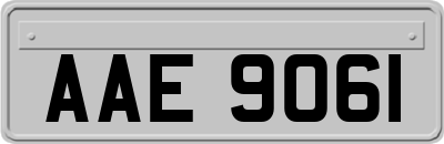 AAE9061