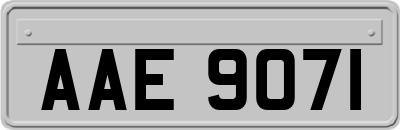 AAE9071