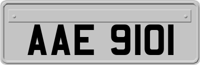 AAE9101